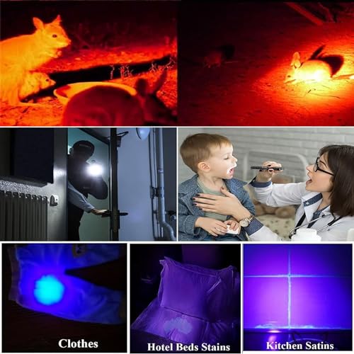 Lampe de poche LED multifonction pour camping et session de pêche nocturne - 6