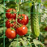 Rete per Piante Rampicanti, Rete Orto per Cetrioli Pomodori Fagiolini Rampicanti, Rete di Supporto per la guida delle piante per serra da giardino e terrazza (2.7Mx1.8M)