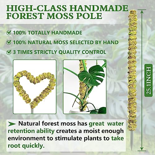 2 Pcs Moss Pole For Plants Monstera - 25 Inch Bendable Plant Stakes For Indoor, Moss Poles For Climbing Plants, Handmade Mossy Rod Plant Support For Creeper Plants Grow Upwards #TOP4