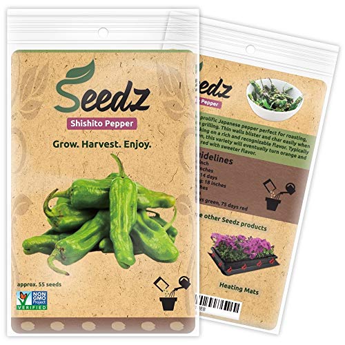 Organic Shishito Pepper Seeds (Approx. 55) 94% Germination Rate Heirloom Vegetable Seeds Certified Organic Non GMO Non Hybrid USA