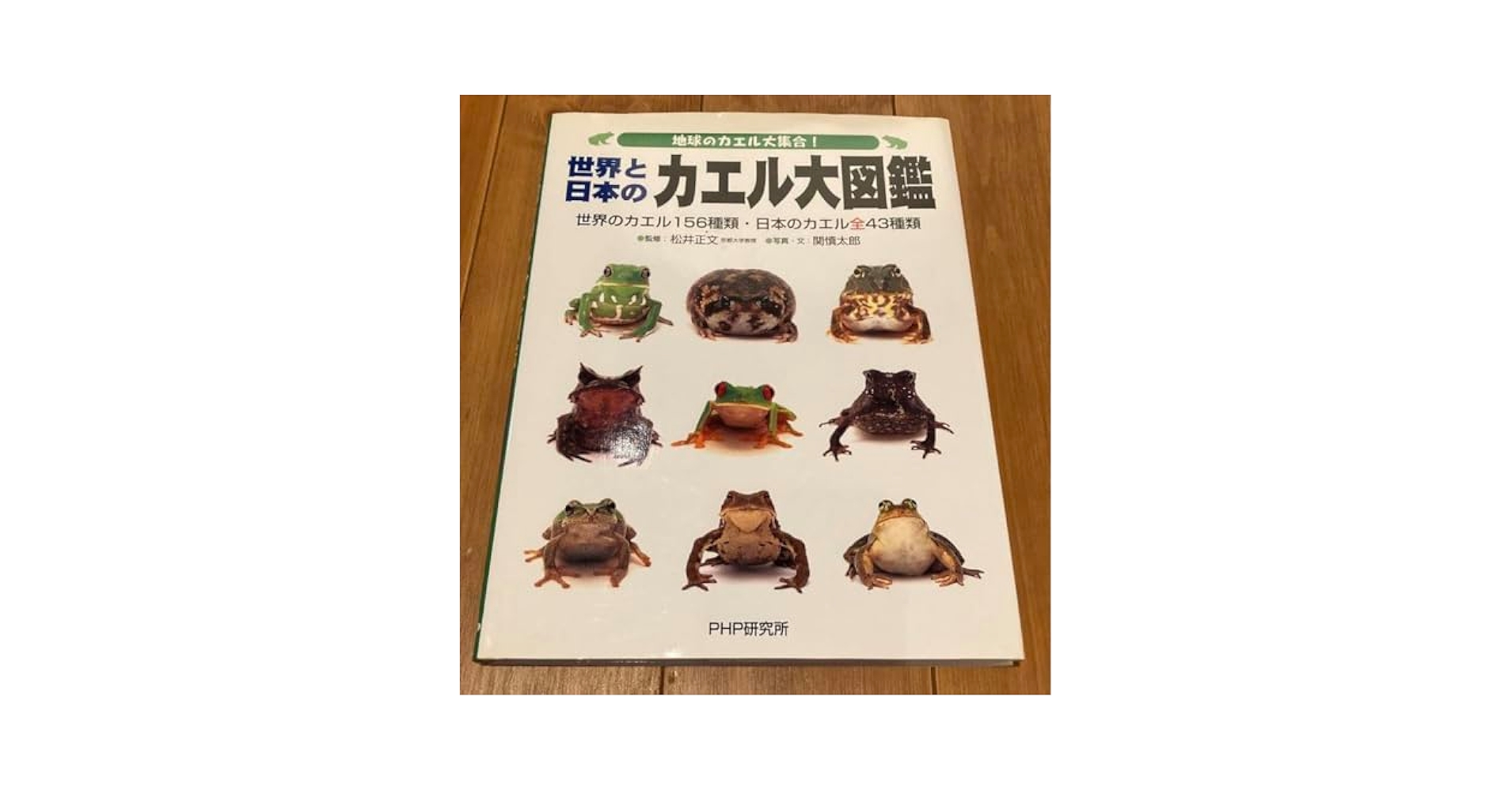 Amazon.co.jp: World and Japan Frog Encyclopedia: Large set