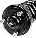 Detroit Axle - 2 Front Struts for 2004-2008 Ford F-150, 06-08 Lincoln Mark LT Complete Struts with Coil Spring 2005 2006 2007 Replacement Quick Install Ready Strut Shock Assembly