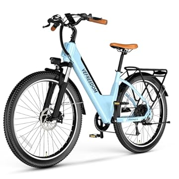 electric assist beach cruiser