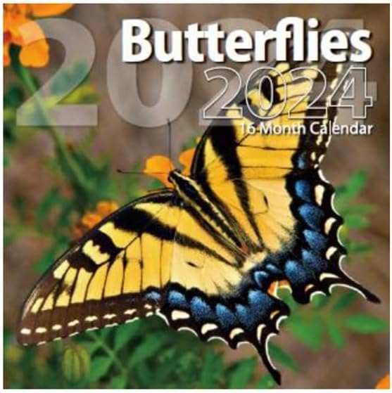 2024 Butterflies Full Size Wall Calendar for Planning