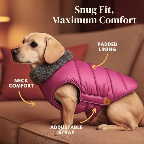 Image of Sage Square Dog Jacket Winter Coat with Fur Collar, Light Weight, Ultra Warm Windproof, Waterproof Dog /Puppy for Cold Weather, Thicker Fleece Jacket (Pink, Small - 12inch)