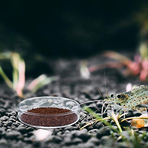 Patelai 3 Pieces Aquarium Shrimp Feeding Dish Glass Fish Clear Tank Feeding Bowl Food Bowl Freshwater Tray Feeder - Image 6