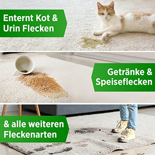 PRINOX Profi Teppichreiniger 580ml - Teppichboden Reiniger inkl. Teppich Bürste, schäumend für alle Teppiche - Teppich Reinigungsmittel & Fleckenentferner aus Deutschland