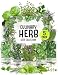 Seed Needs Italian Herb Seed Collection, Non-GMO (Basil, Rosemary, Sage, Parsley & Oregano)