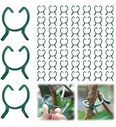 100 Pcs Secured Plant Clips for Climbing Plants 2025 New Tomato Clips Plant Support Clips, Grape ...