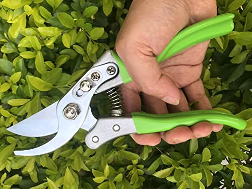 Image of Garden Shears, Japanese Pruning Shears for Heavy Duty, Flowers Herbs Grapes Plant and Branch Cutters, Clippers, Trimmers, Scissors (Green)