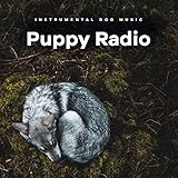 Man's Best Friend Records