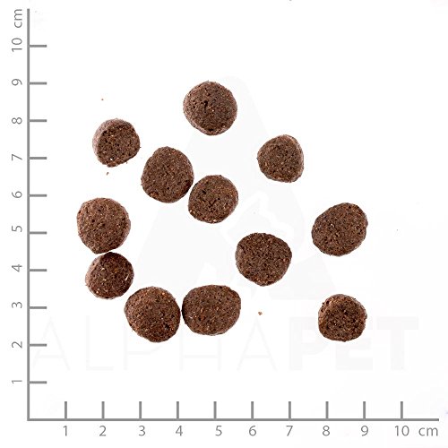 WILDES LAND – Ente | Trockenfutter mit extra hohem Fleischanteil und natürlichen Zutaten für ausgewachsene Hunde. Alleinfutter ohne Zusatzstoffe im Beutel | 12kg Ente