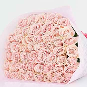 51P-HWfCh2L._AC_UF350,