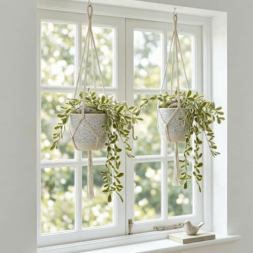 Image of Dekorly 2 Pack Artificial Plants Artificial Hanging Plants Faux Eucalyptus Leaf Greenery Fake Hanging Eucalyptus Plant (Green) (1, White and Green)