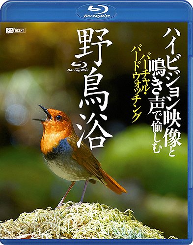 お値下げ　バードウォッチング　NHK 新野鳥図鑑　ブルーレイ全４巻 お値下げ バードウォッチング NHK 新野鳥図鑑 ブルーレイ全4巻