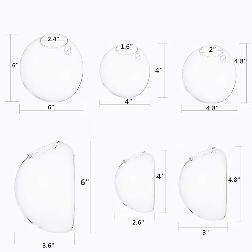 Kit d'aquarium Ensemble de 3 terrariums à accrocher au Mur Plantes d'intérieur, Vase en Verre Fleurs Mur succulentes, Plantes aériennes, Mur véranda Salon