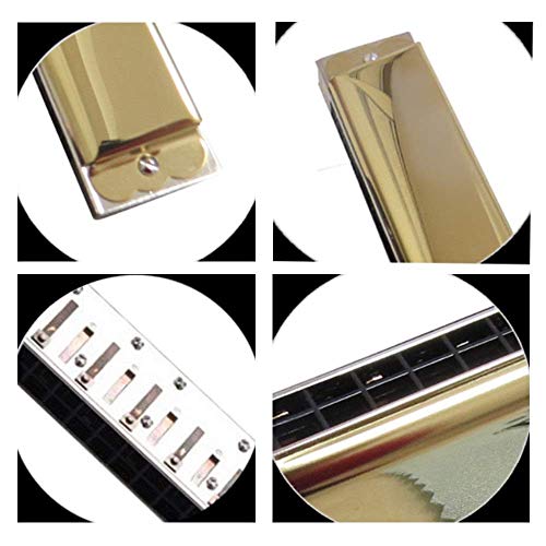 Harmonica polyphonique 24 trous en Do pour enfants et adultes avec étui de rangement et chiffon de nettoyage pour… - Les Beatles, Paul McCartney, John Lennon, RIngo Starr, George Harrison Harmonica polyphonique 24 trous en Do pour enfants et adultes avec étui de rangement et chiffon de nettoyage pour… – Image 3