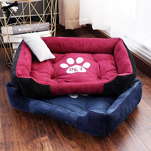 big paws dog bed