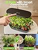 LETPOT Hydroponics Growing System, 12 Pods Indoor Herb Garden Kit with 24W LED Grow Light, 5.5L Water Tank & 16" Adjustable Height, Smart Indoor Gardening System for Kitchen, Home & Gift #1