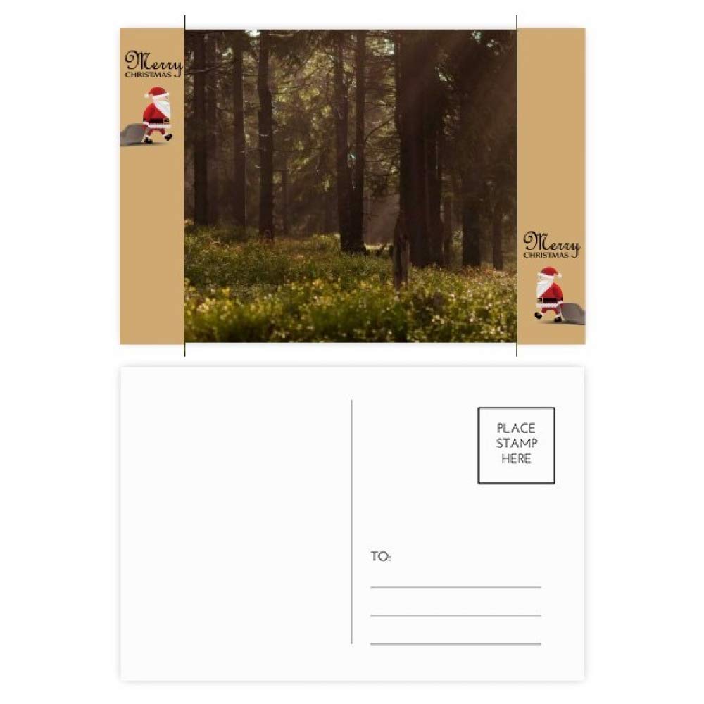 Carte postale Père Noël Dark Forestry Science lot de 20 pour cadeaux