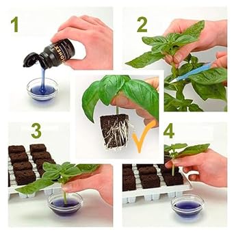 Clonex Rooting Gel - Hormone Gel - Cuttings and Clones - Fast Root
