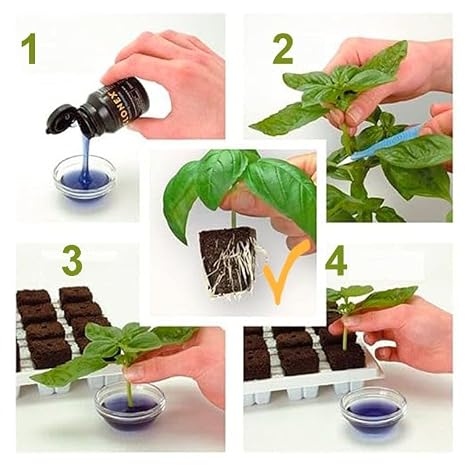 Clonex Rooting Gel - Hormone Gel - Cuttings and Clones - Fast Root