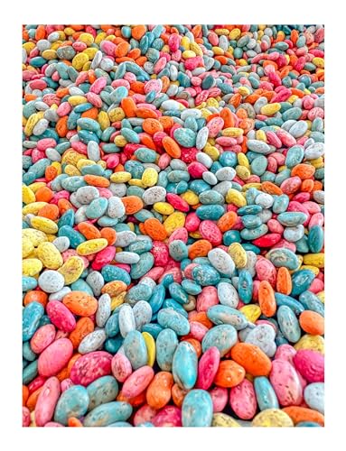 Colorful Sensory Bin Filler Themed and Seasonal Beans (Summer, 4 Cups)
