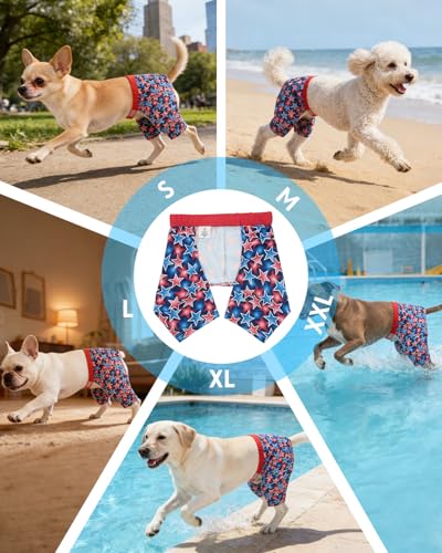 Image of CuteBone Dog Swim Trunks Swimsuit Durable & Comfortable - Quick-Dry, Adjustable Waistband Shorts, UV Protection Bikini- Perfect for Beach, Pool & Outdoor Fun, Dinos DST12M