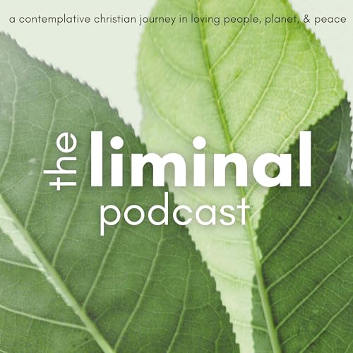 The Liminal cover art