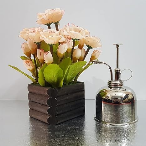 Brass Plant Mister Bottle with Spray Pump – Fine Mist Watering Tool for Indoor Plants, Succulents, and Gardening