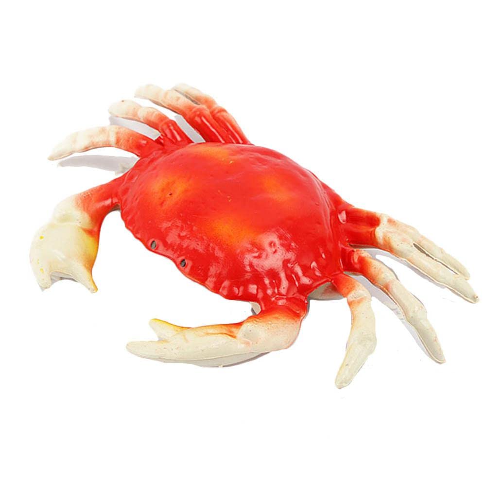 Levend koken van kreeft en krab straks verboden? - VISwijzer
