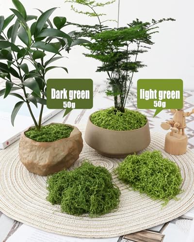 Image of NHCDFA Synthetic 100g Artificial Grass for Decoration,Fake Grass,Artificial Grass,Artificial Moss,Fake Moss Decorative Craft Moss for Lawn Green Plant Aquarium Landscaping,Garden Home Decoration