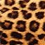 Real Cheetah Print