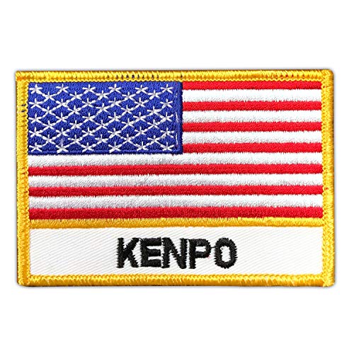 AAMA Kenpo USA Flag Martial Arts Taekwondo Karate Iron On Patch - 1 pc
