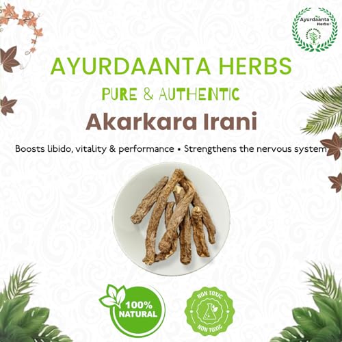 Image of Irani Akarkara /ईरानी अकरकरा | Anacyclus Pyrethrum (50 Gram)