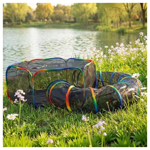 Outdoor Rainbow Cat Enclosure Setup