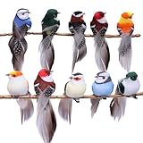 Pájaros decorativos con plumas: los pájaros artificiales están provistos de plumas ricas en detalles y realistas. Gradientes de colores finos, textura suave y acabado limpio que le dan un aspecto realista y la convierten en una decoración de alta calidad con encanto natural