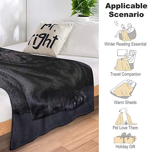 Btrada Fleece Flannel Throw Blanket Comfy Air-Conditioned Quilts Natural Material Yoga Blanket Black Pug Pattern Bed Throws For Women Men, 50 X 60 Inches #TOP4