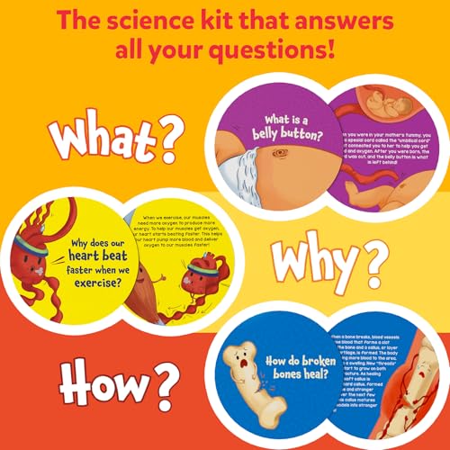 Image of Skillmatics Flash Cards - Science Snippets The Human Body, STEM Learning Educational Toys & Learning Aids for Kids, Gifts for Boys & Girls Ages 7, 8, 9 & Up, Homeschool, Classroom & Travel Activity