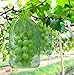 Trauben-Schutzbeutel 50 Stück Obst Schutzbeutel Organzabeutel, Garten Netzbeutel mit Zugband zum Schutz vor Wespenfrass, Vögel, und Andere Insekten (20x30CM, Grün)
