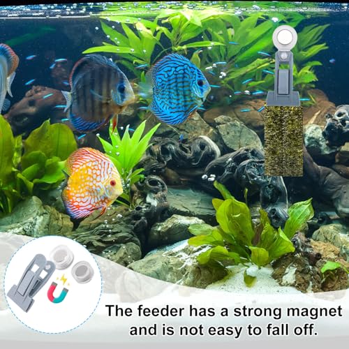 Pinza para alimentar peces para evitar desperdicio de algas 5