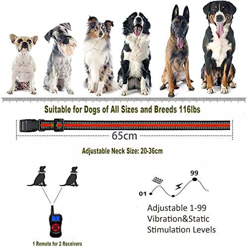 Dog Training Collar For 2 Dogs With 2600Ft Remote,Rechargeable Electric Dog Collar With Beep,Vibration,Light,Shock,4 Training Mode,Waterproof Electronic Dog Collars For Large Small Medium Dogs #TOP6