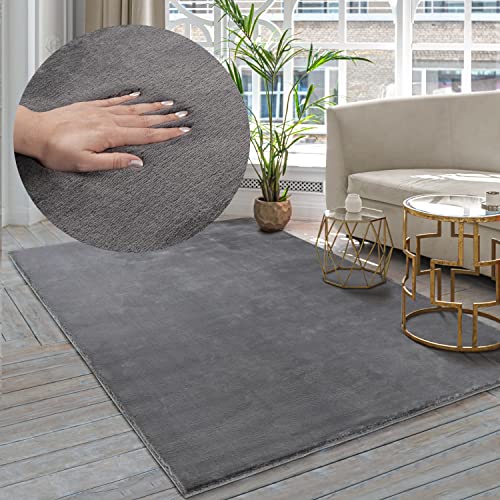 the carpet Premium Moderner Hochflor Langflor Wohnzimmer Teppich, Super Soft, Kunstfell, Flauschig,...