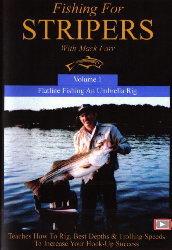Fishing For Stripers