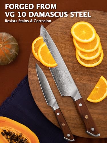 Knife Set, Damascus Knives 2pcs | VG-10 Core Sharp Blade & Ergonomic Natural Rosewood Handle | Full Tang Kitchen Knife Forged 67 Layers Damascus Stainless | Gift Box - Image 3