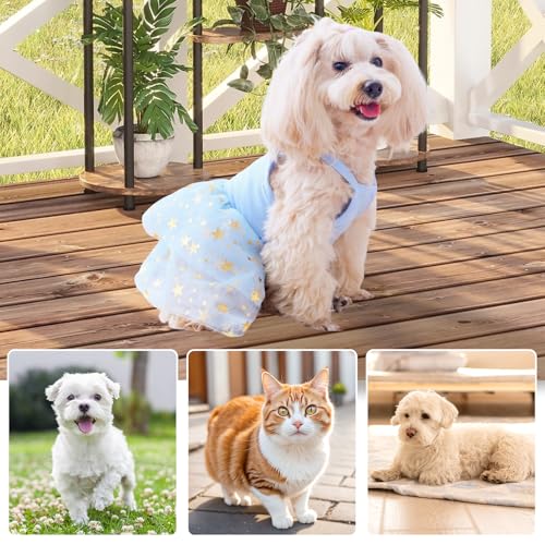 Tutu-Kleid für Hunde und Katzen, Sommer, Tüll, Slip-Spitzenkleid, niedlicher Welpe, Glitzerstern, Rock, Haustier-Partykleidung für kleine, mittelgroße Katzen, Hunde (blau, groß)