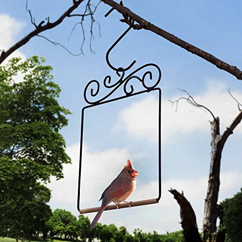 image for Gray Bunny Premium Hummingbird Swing, Rust Resistant Metal Frame, Wood