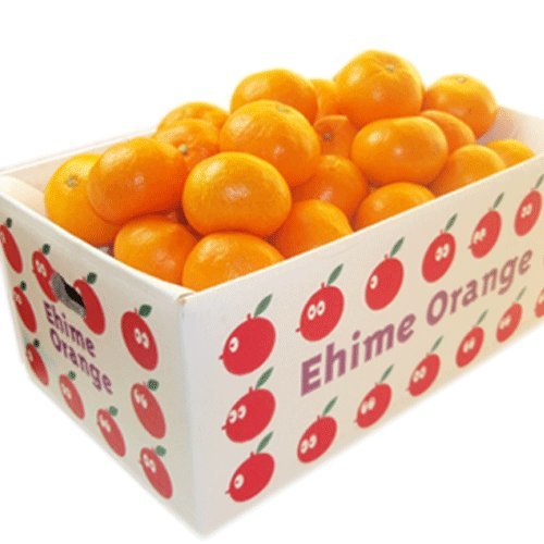 株式会社国安青果 【光センサー選果合格品】愛媛西宇和産みかん ファミリー用