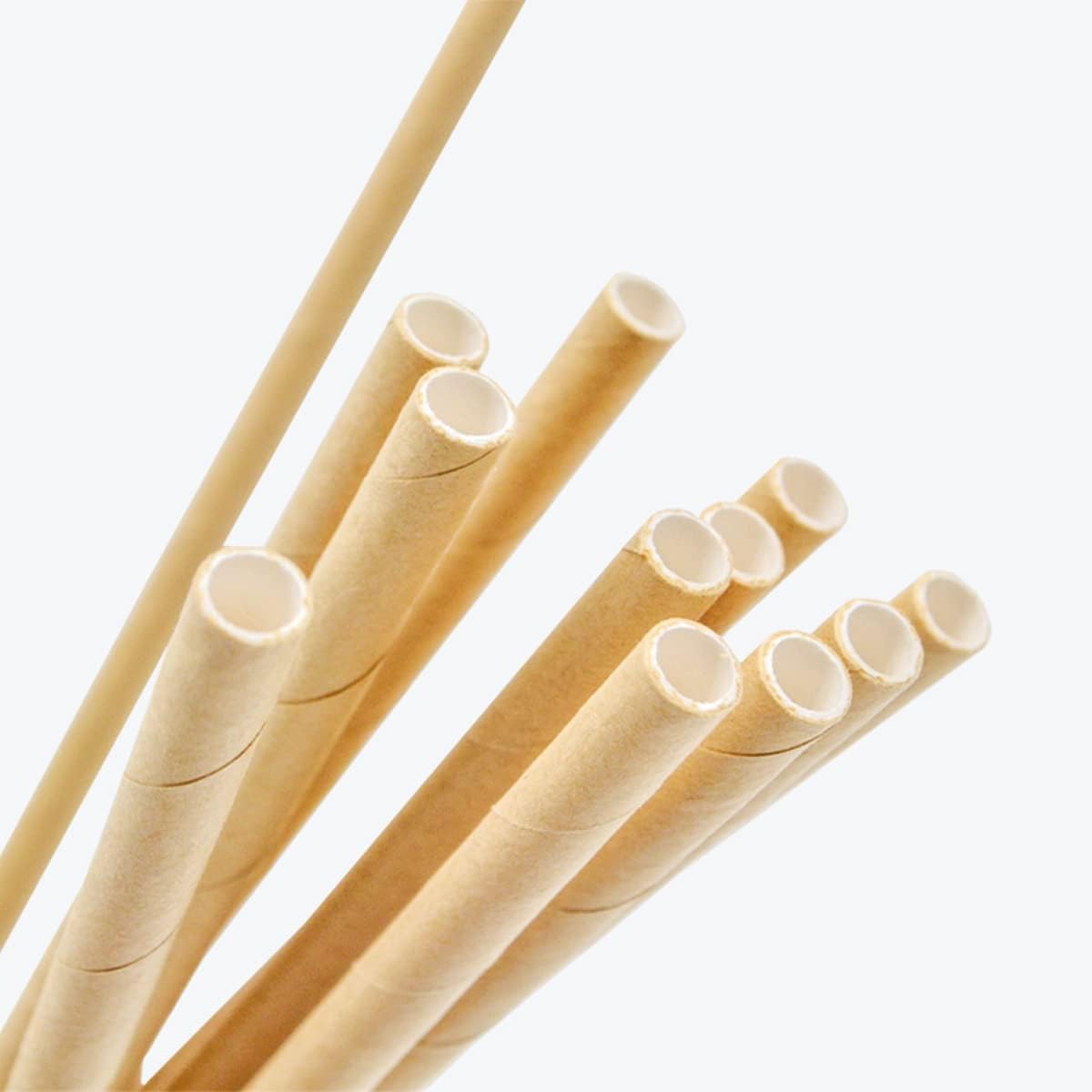 Individually Wrapped 8" No-Sog Straws | Heavy Duty,100% Biodegradable,Plastic Free|Made of Plant-Based Sugarcane Fibers|Drinking Straws|Pack of 5000