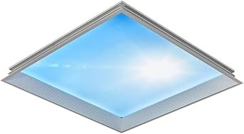 Smart LED Blue Sky Ceiling Light, Square Blue Sky Light Ceiling Lamp, Aluminum Recessed LED Ceiling Light Fixture, Adjustable Color Temperature, Perfect for Basement, Living Room, Hallway